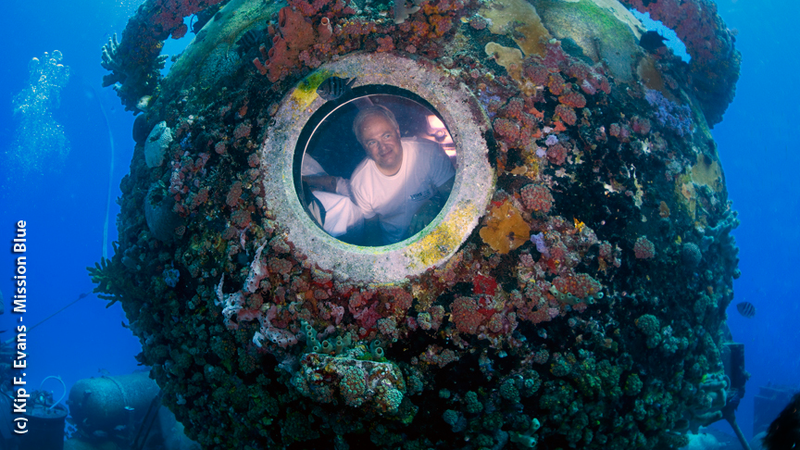 Illustration for article titled There Is No Such Thing as Normal When You Live at the Bottom of the Sea